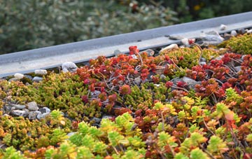 the cost of Gletness green roof installation