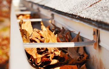 Gletness gutter cleaning companies