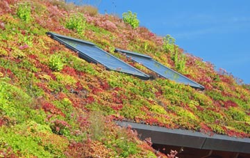 Gletness living roof systems