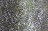 Gletness fibreglass roof work