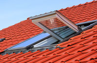 Gletness roof window
