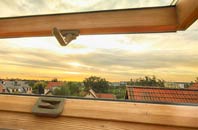 rated Gletness roof window companies